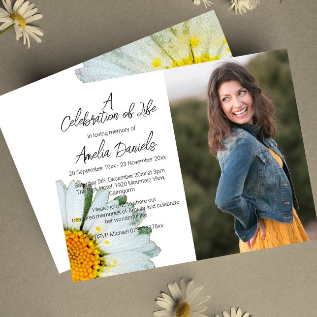 Celebração de Foto de Margarida Branca do Cartão d (Criador carregado)