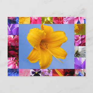 Celebração do Cartão Postal Primavera