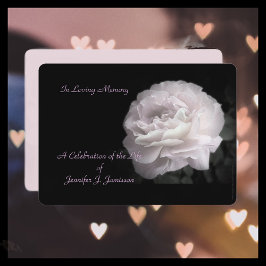 Celebração do Convite à Vida Rosa Rosa Pálida Rosa