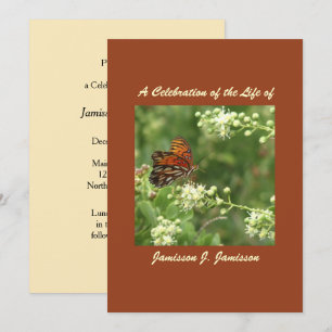 Celebração do convite da vida, borboleta