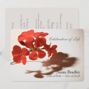 Celebração do gerânio do anúncio do funeral da