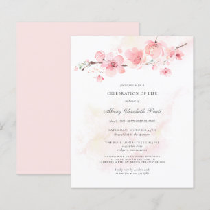 Celebração do Orçamento da Vida Funeral Rosa Flora