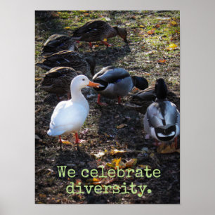 Celebramos a Poster da diversidade