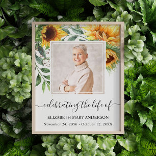 Celebrando Memorial de Celebração da Foto da Vid