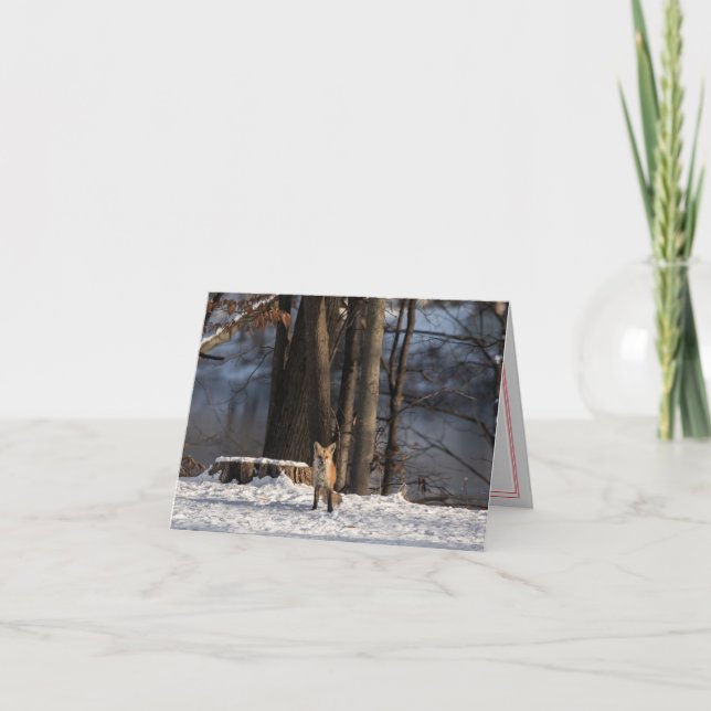 Celebrar Cartão de Feriado Dobrado de Inverno (Frente)