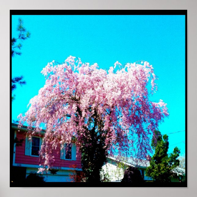 CELEBRAR POSTER DE VIDA (Frente)