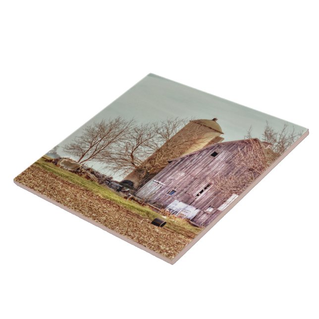 Celeiro e silo velhos (Lateral)