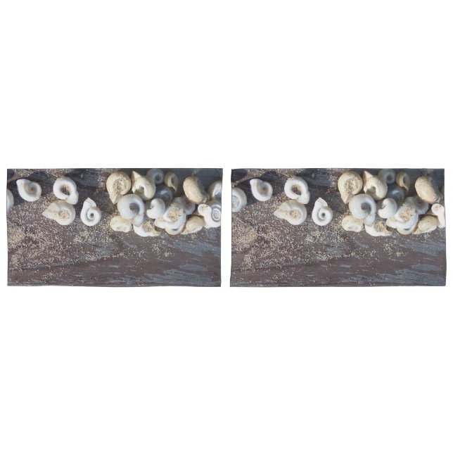 Células marítimas náuticas (Frente - conjunto)