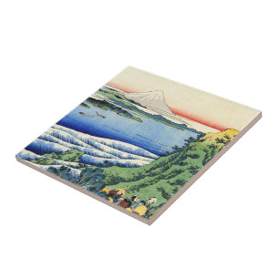 Cem poemas explicados pela enfermeira Hokusai