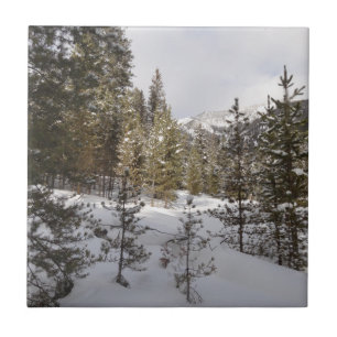Cena da Montanha Snowy de inverno em Montana