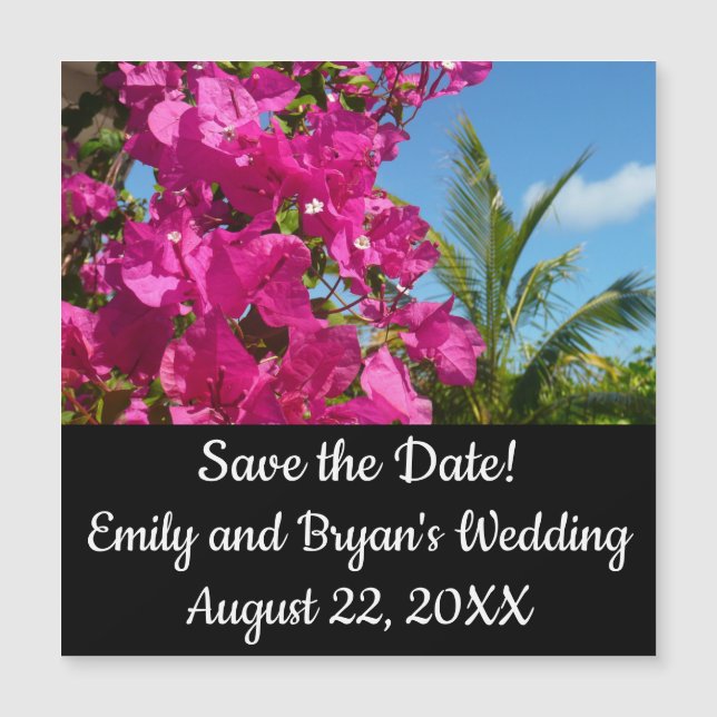 Cena da Natureza Tropical de Bougainvillea e Palm  (Frente)