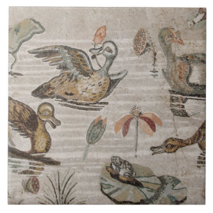 Cena das aves aquáticas no Nile, casa do Faun