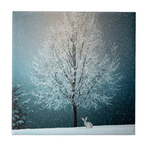 Cena de inverno