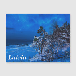 Cena de inverno noturna com pinheiros cobertos de 