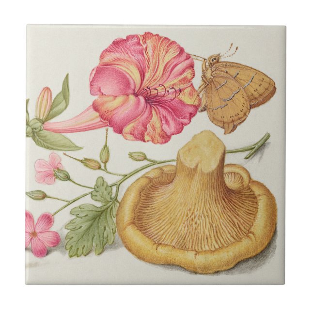 Cena de jardim com flores, borboleta e cogumelo (Frente)
