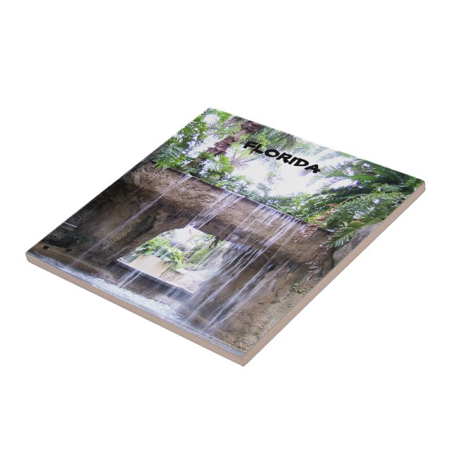 Cena de Jardim Tropical com Cachoeira da Flórida (Lateral)