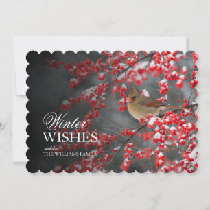 Cena de Neve com Cardeal e Winterberry