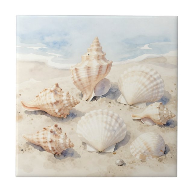 Cena de Praia de Conchas em Aquarela (Frente)