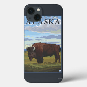 Cena do bisonte - junção do delta, Alaska