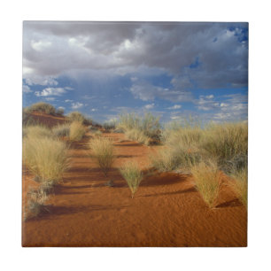 Cena do Deserto de Kalahari, fronteira Transfronte