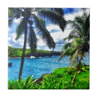 Cena do Hawaiian IMG_1122 4