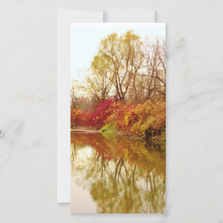 Cena do Rio da Floresta em Queda