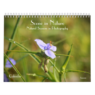 Cena na Natureza: Sasons no Calendário Fotográfico