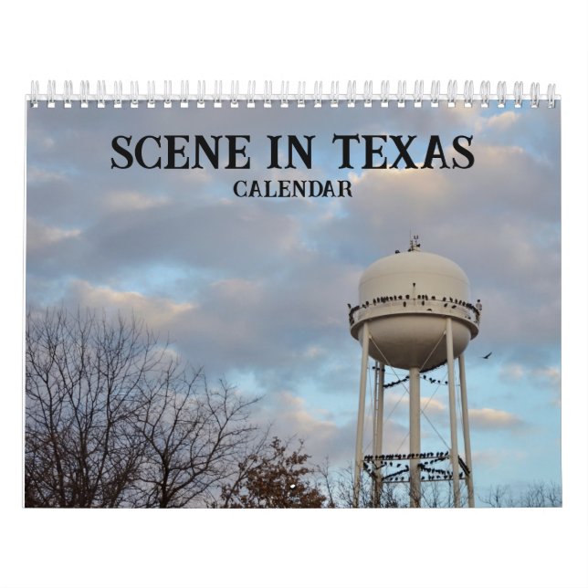 Cena no Calendário Natural do Texas (Capa)