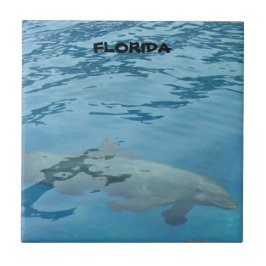 Cena Subaquática de Golfinho na Flórida Oceano