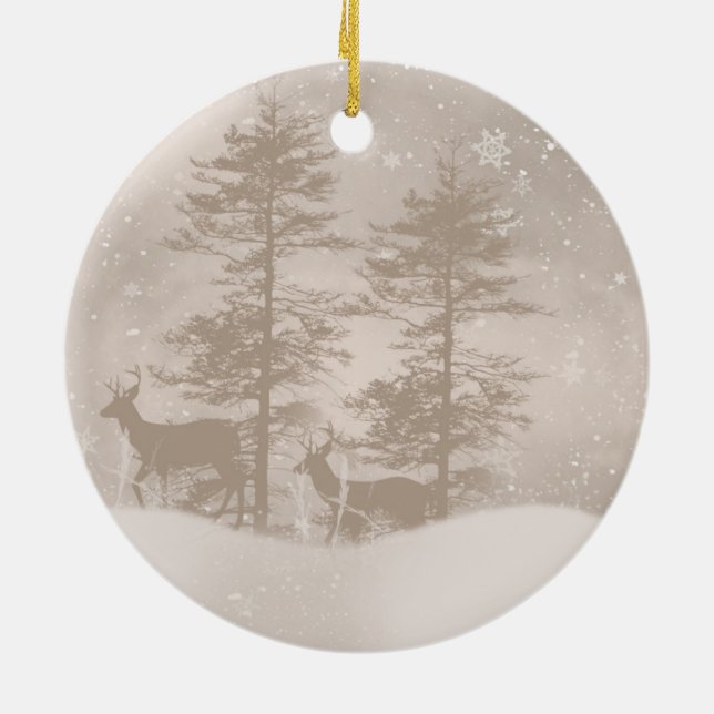 Cenário à moda do inverno com o ornamento do (Traseira)