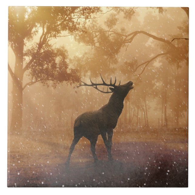 Cenário bonito da natureza de Hirsch (Frente)