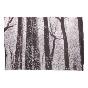 CENÁRIO DE INVERNO DE NEVE DE MADEIRAS FLORESTAIS