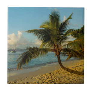 Cenário de praia