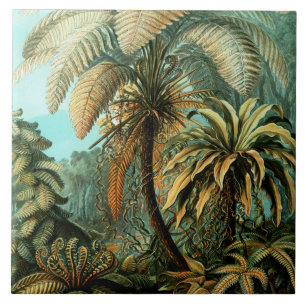 Cenário tropical com palmeira