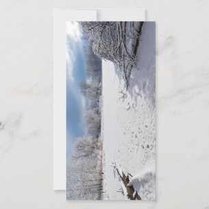 cenas de inverno ao longo da lagoa e florestas de 