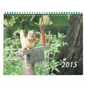 Cenas do Calendário Natureza