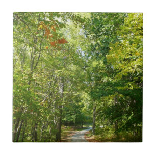 Centenário Caminho Wooded I Natureza da Cidade Ell