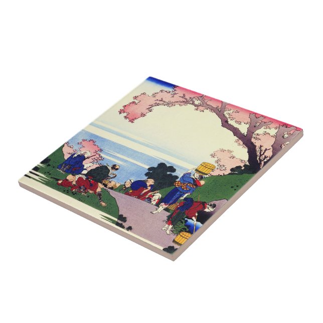 Centenas de poemas explicados pela enfermeira Hoku (Lateral)