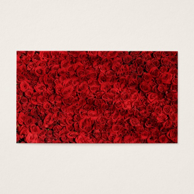 Centenas de Rosas vermelhas bonitas (Frente)