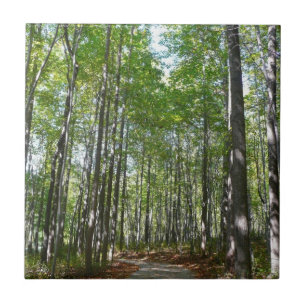 Centennial Wooded Path II Ellicott City Maryland
