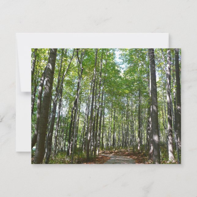 Centennial Wooded Path II Ellicott City Maryland (Frente)