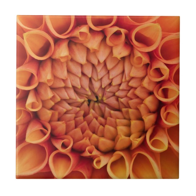 Center Orange Dahlia Flower (Frente)
