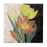 Centerape II<br><div class="desc">Floral</div>