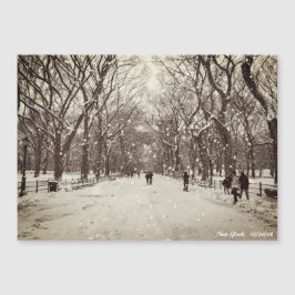 Central Park Magnetic Card