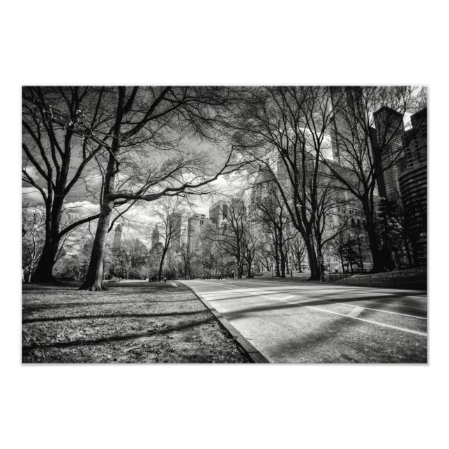 Central Park, Nova Iorque Foto Impressão (Frente)