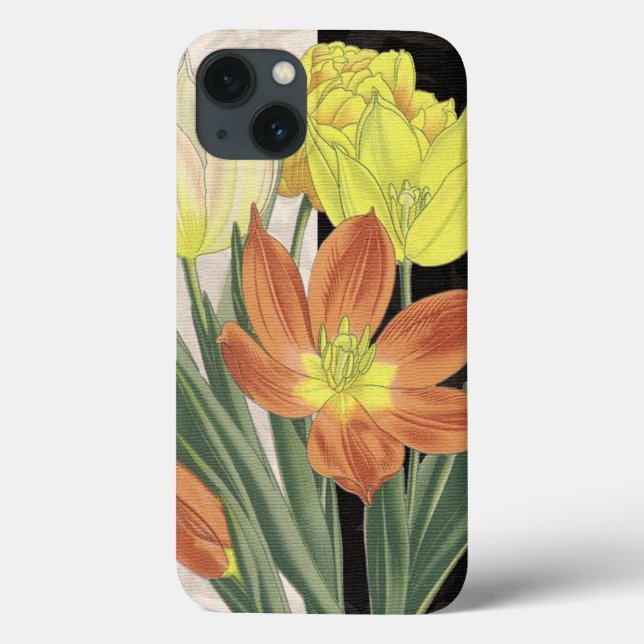 Centrepeça II (Verso)