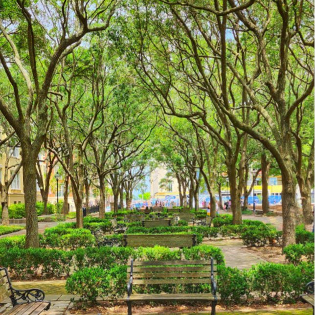 Centro Charleston, Poster do edifício SC (Criador carregado)