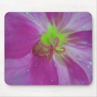 Centro de flores roxas do Mousepad