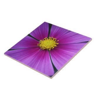 Centro do Azulejo Cosmos