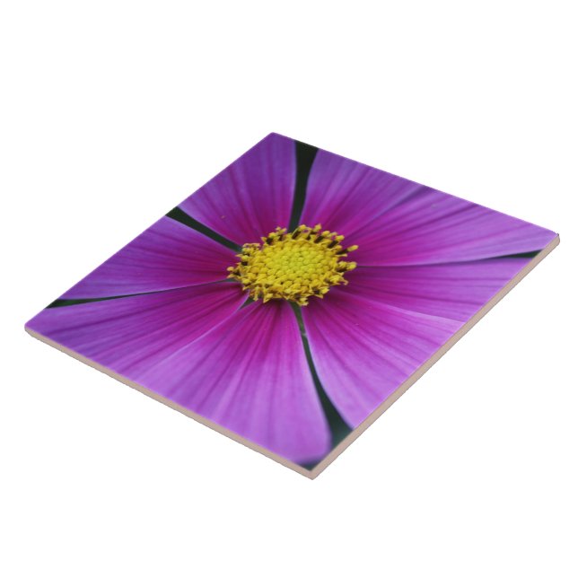 Centro do Azulejo Cosmos (Lateral)